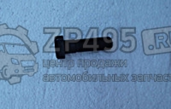 : 6501404 0014649     /   31105 . (, ,,,,, , NEXT, NEXT) omsk.zp495.ru