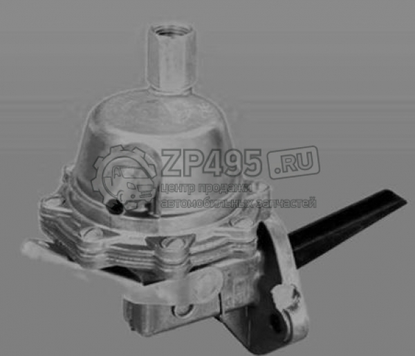 : 241106010 0014253   -2410, 3302 .-402 + (, ,,,,, , NEXT, NEXT) omsk.zp495.ru