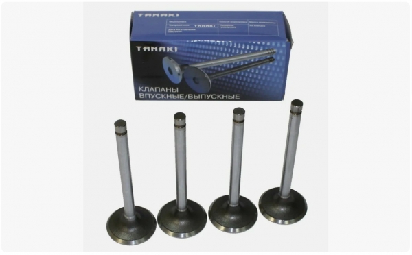 : TKG100701560 0003214   -2410,  Next .EvoTech 2.7 (939)  4.   (, ,,,,, , NEXT, NEXT) omsk.zp495.ru