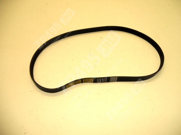 : 6PK1220 0015204  1220 DARWIN PLUS   /406-1308020-11/ (, ,,,,, , NEXT, NEXT) omsk.zp495.ru