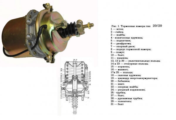 : 100351910010 0038216   20/20    omsk.zp495.ru